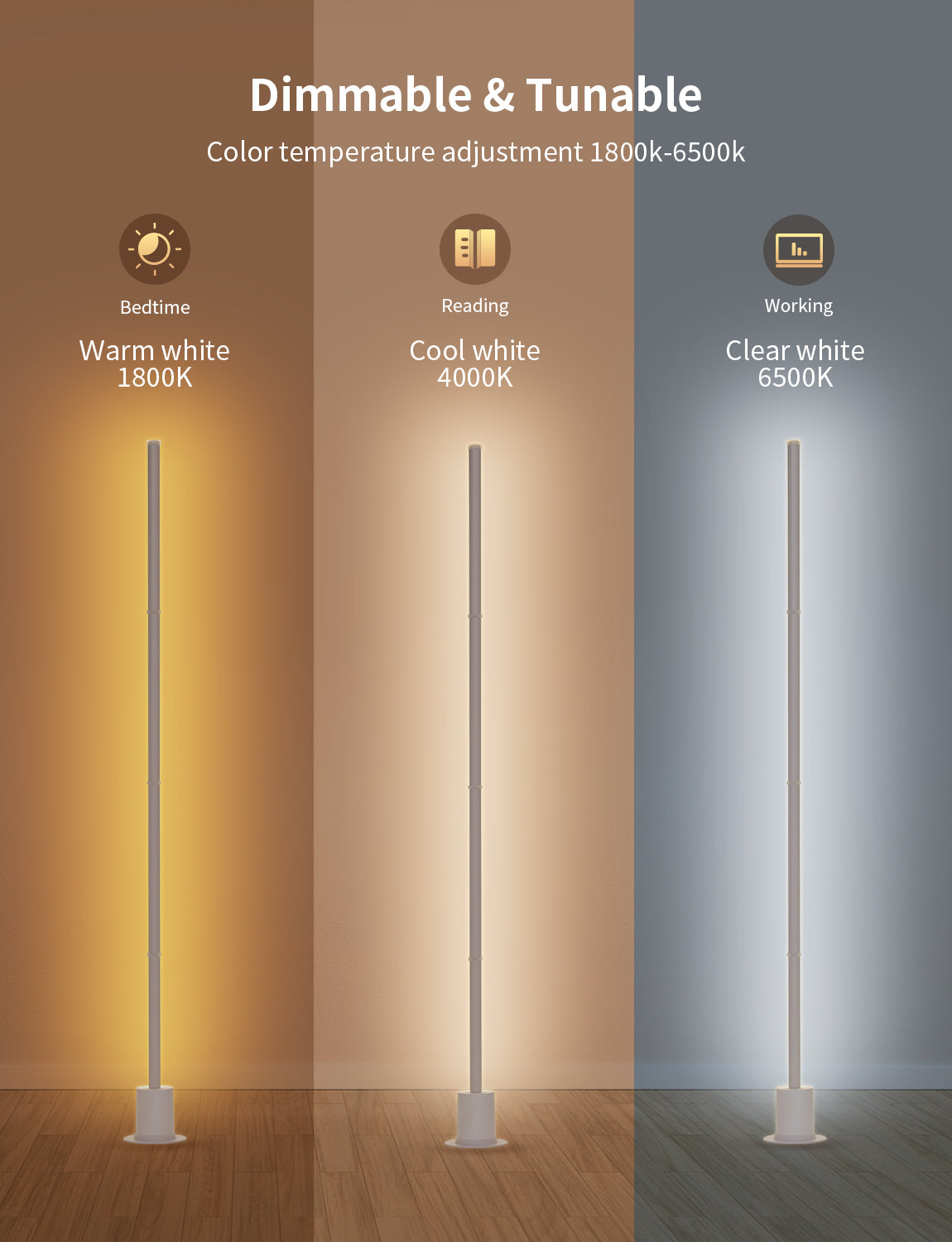 Ailofy RGBIC Smart Floor Lamp with Music Sync