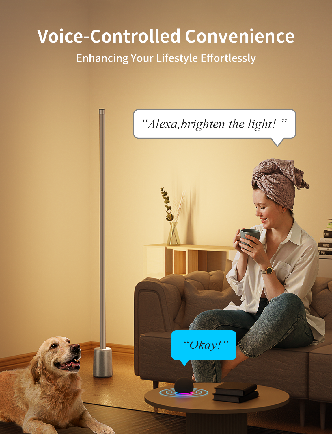 Ailofy Stellar Floor Lamp(Silver Grey)