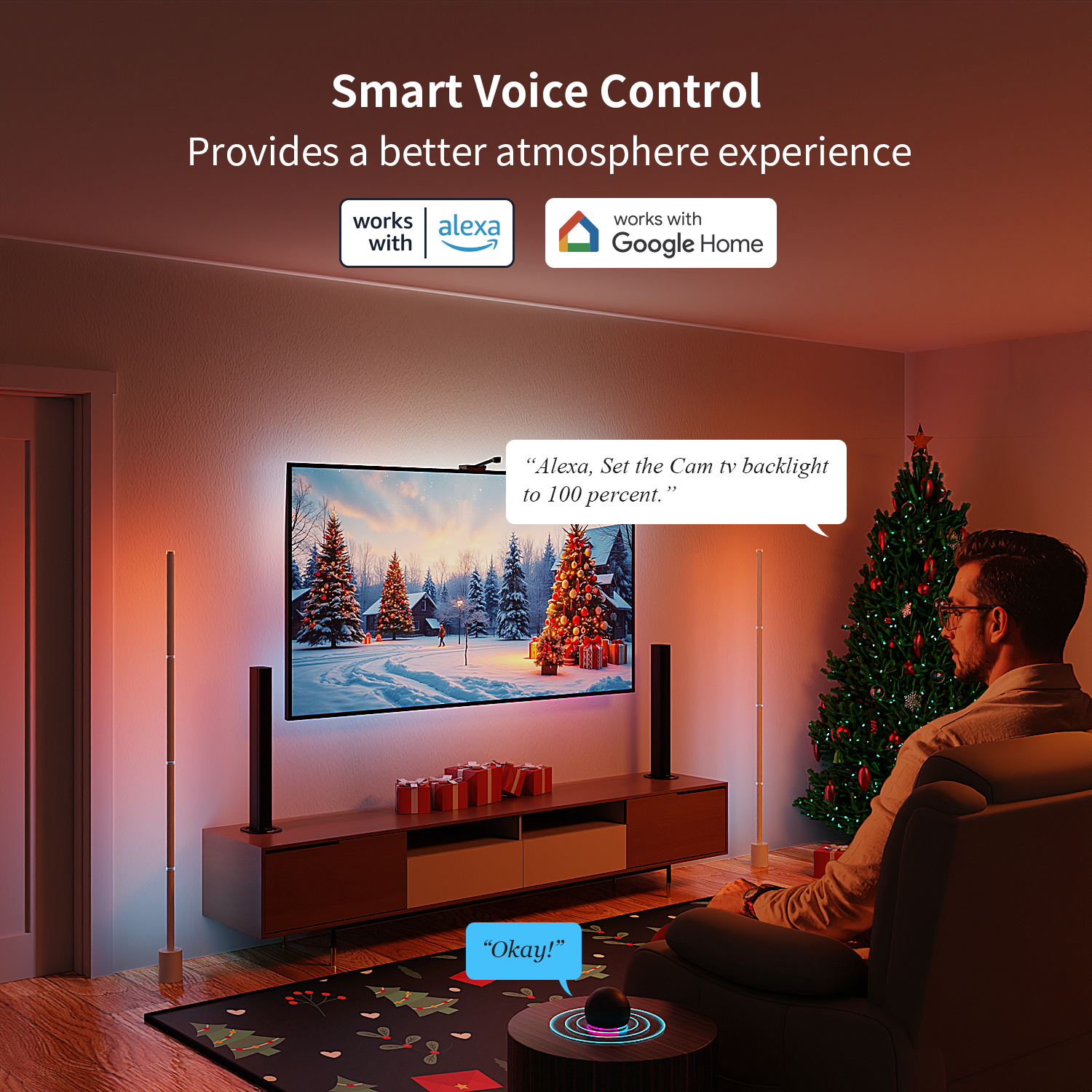 Ailofy Smart LED Backlight with Camera